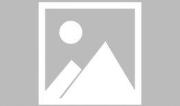 吃瓜小说娱乐圈完结推荐,瓜田里的甜蜜结局