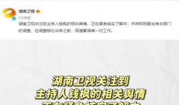 娱乐圈吃瓜爆料营销号,揭秘明星背后的秘密与真相